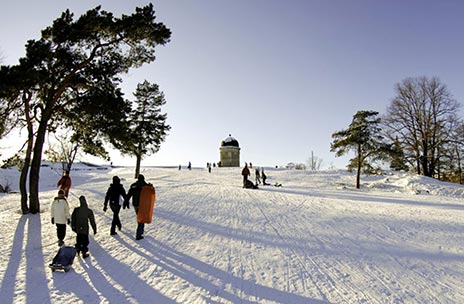 Åk pulka under julen i Helsingfors