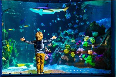 SEA Life i Helsingfors